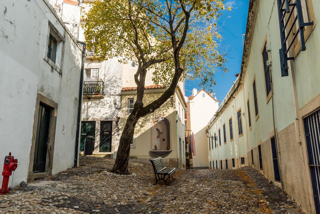 Little Duplex In Alfama Lejlighed Lisboa Eksteriør billede